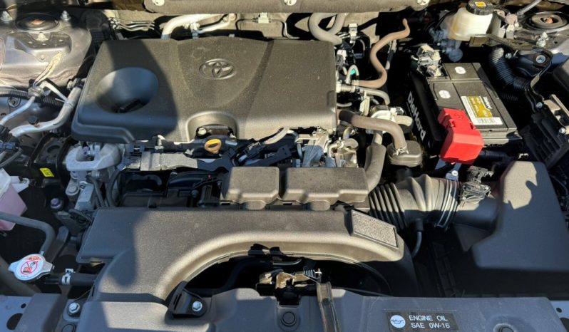 2019 Toyota RAV4 LE full